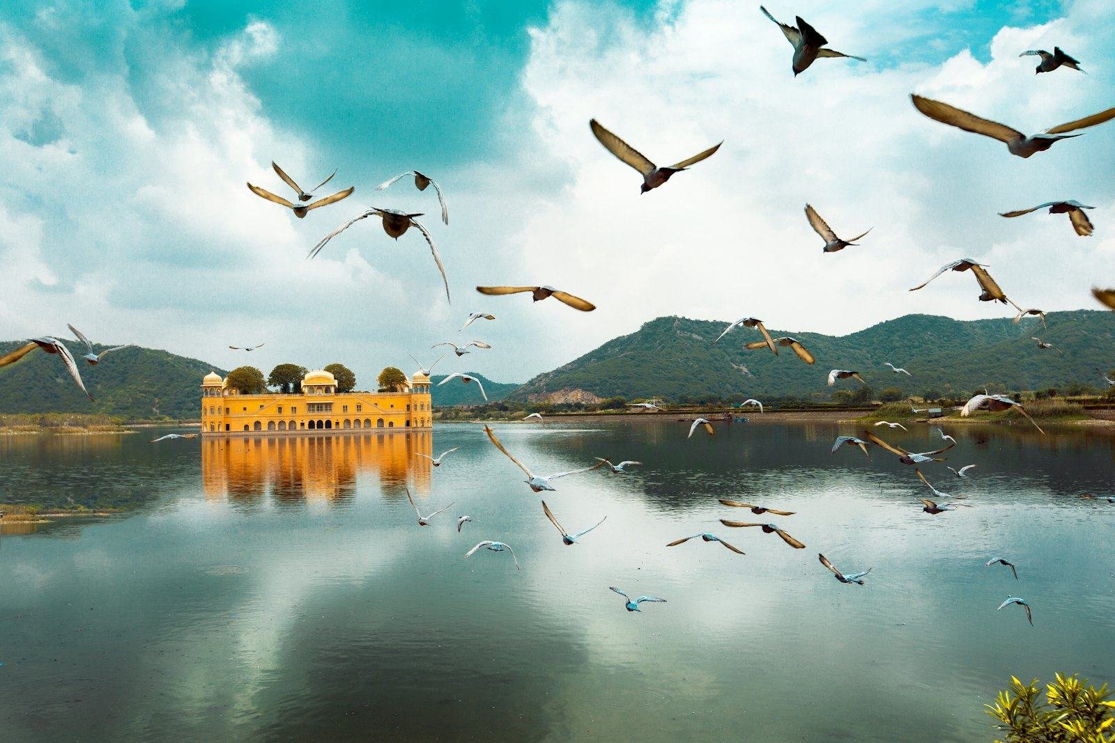 Jal Mahal on Man Sagar Lake, Jaipur, with the Aravalli hills behind